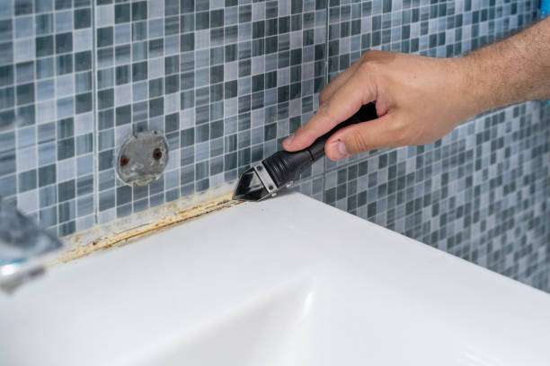 Best Residential Mold Remediation in Crownsville, MD